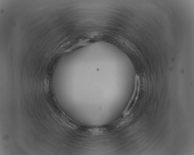 X0000073450558200608251708