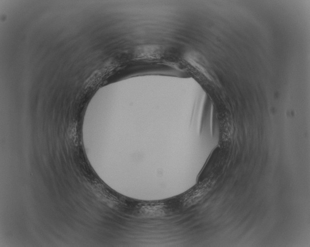 X0000073450560200608251709