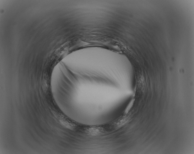 X0000073450566200608251709