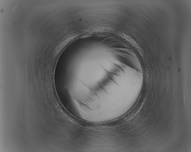 X0000073450577200608251708