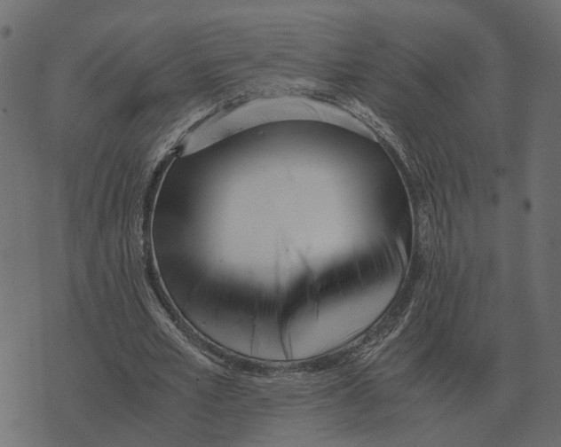 X0000073450581200608251708