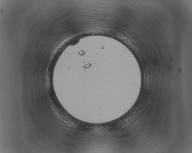 X0000073450584200608251708