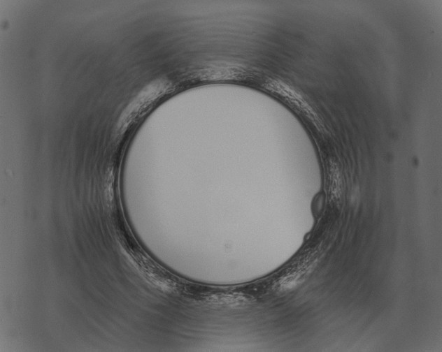 X0000073450586200608251708