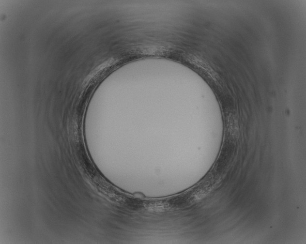 X0000073450587200608251708