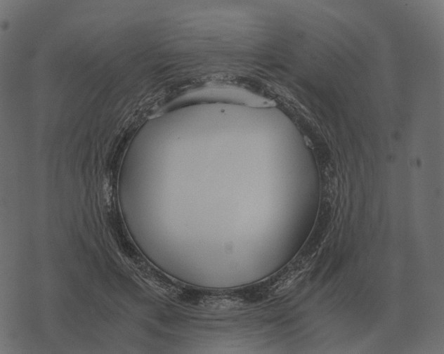 X0000073450597200608251708