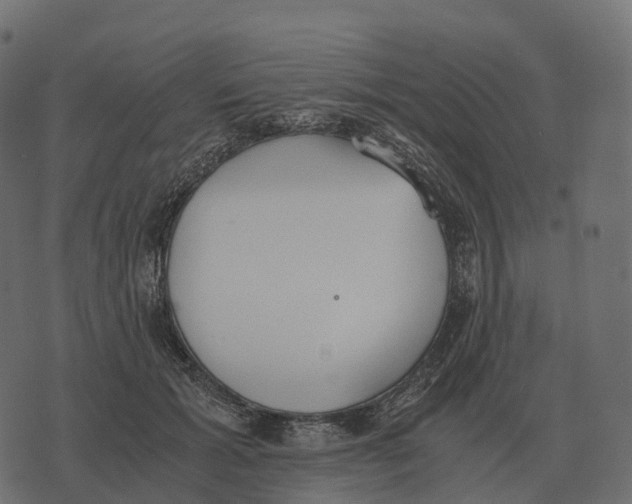 X0000073450605200608251708