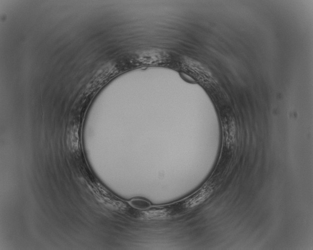 X0000073450606200608251708