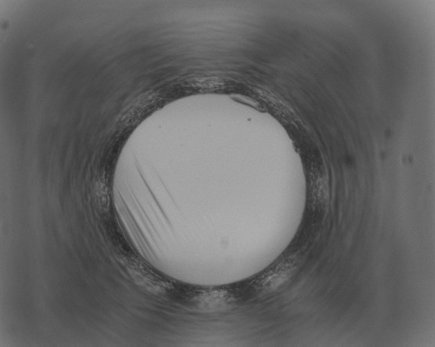 X0000073450609200608251707