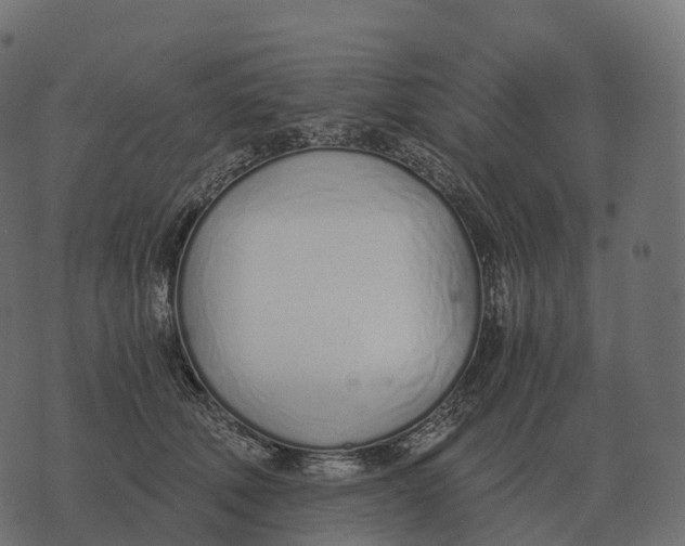 X0000073450610200608251707