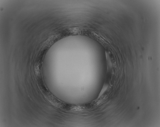 X0000073450611200608251707