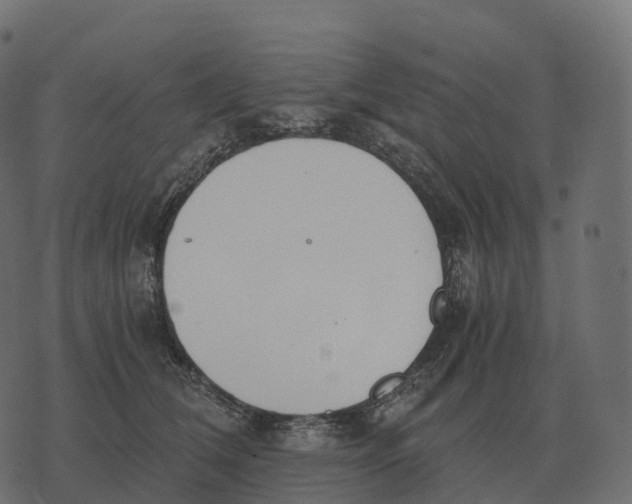 X0000073450612200608251707