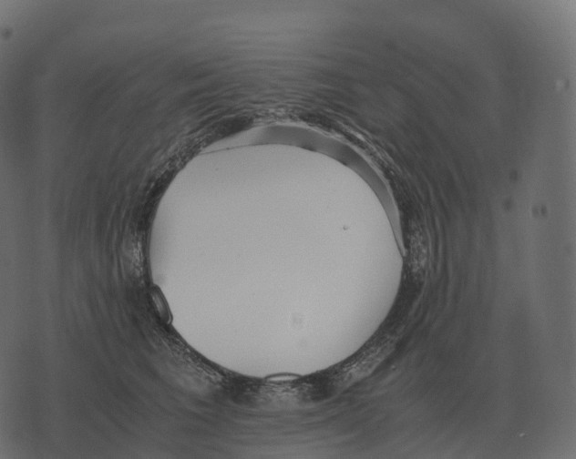 X0000073450613200608251707