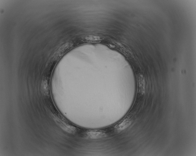 X0000073450614200608251707