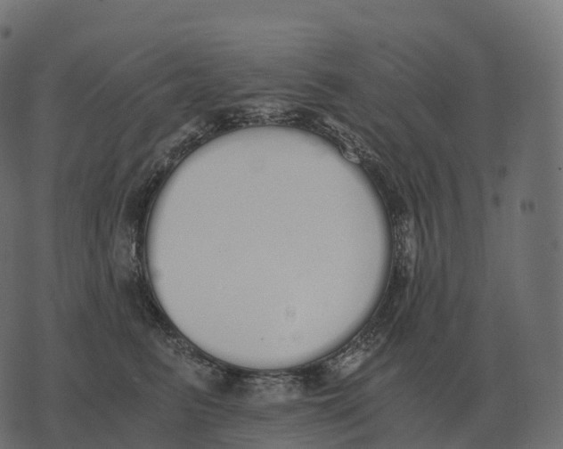 X0000073450615200608251707