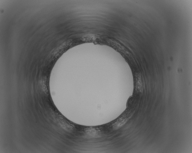 X0000073450616200608251707