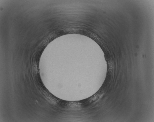 X0000073450617200608251707