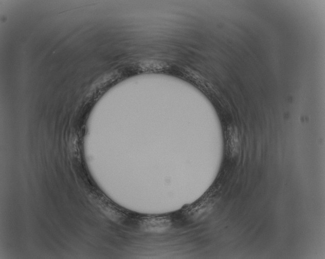 X0000073450619200608251707