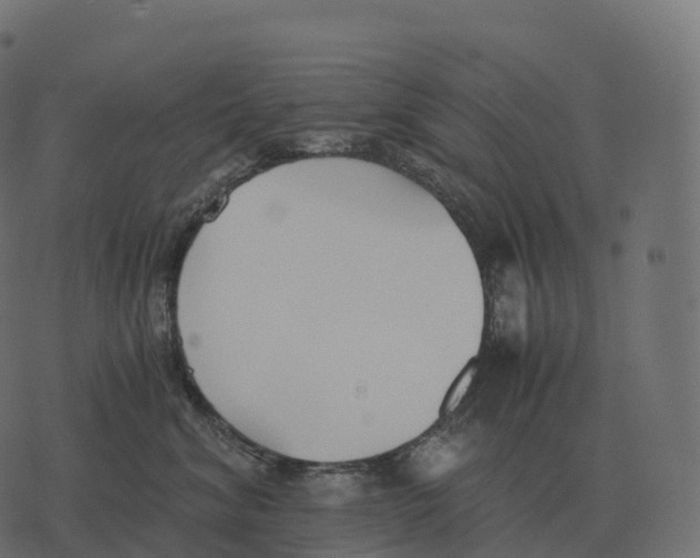 X0000073450620200608251707