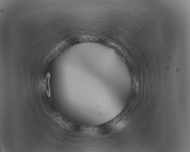 X0000073450621200608251707