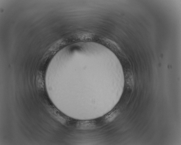 X0000073450622200608251707