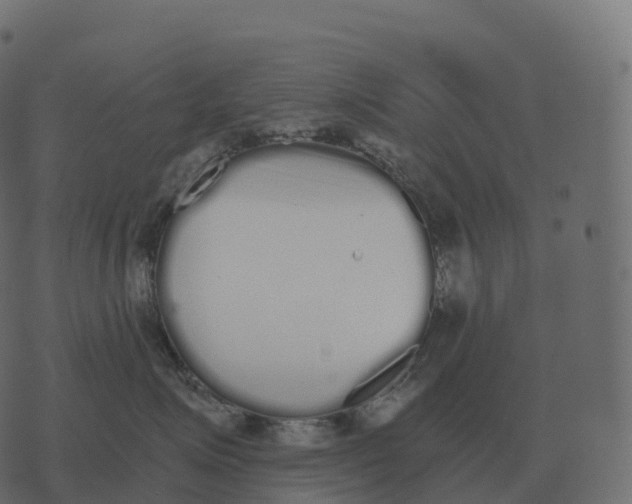 X0000073450623200608251707