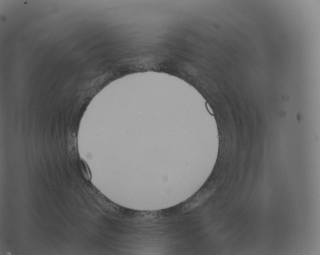 X0000073450624200608251707