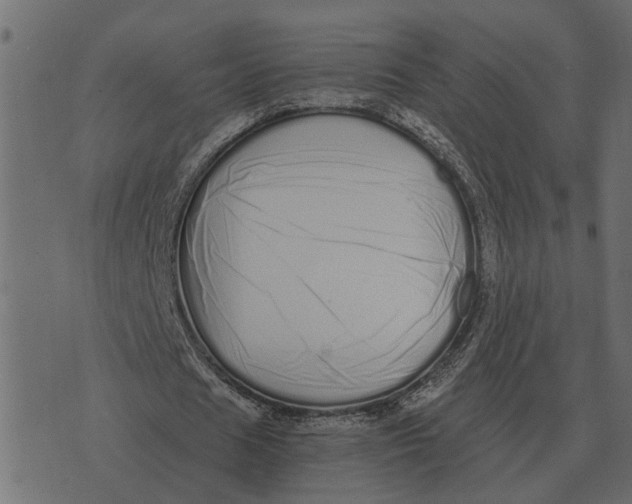 X0000073450625200608251706