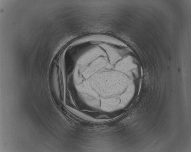 X0000073450626200608251706