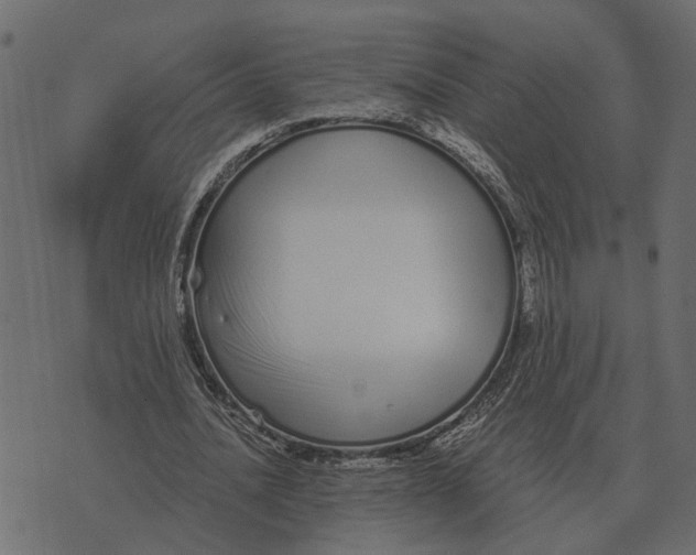 X0000073450628200608251706