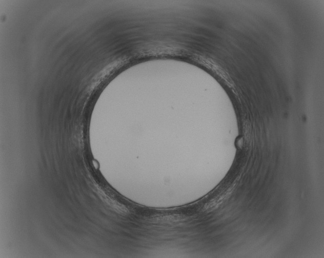 X0000073450629200608251707