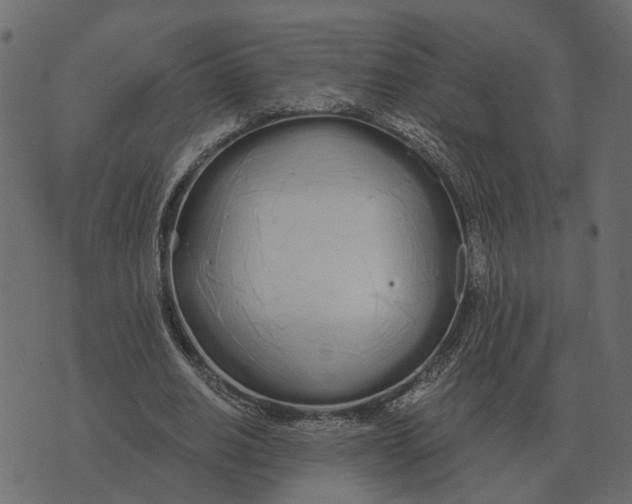 X0000073450630200608251707