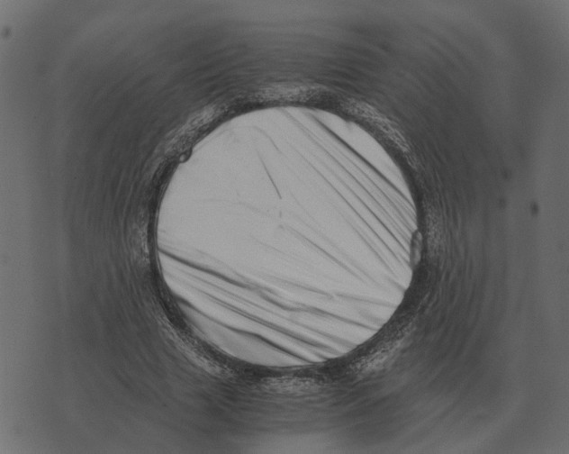 X0000073450633200608251707