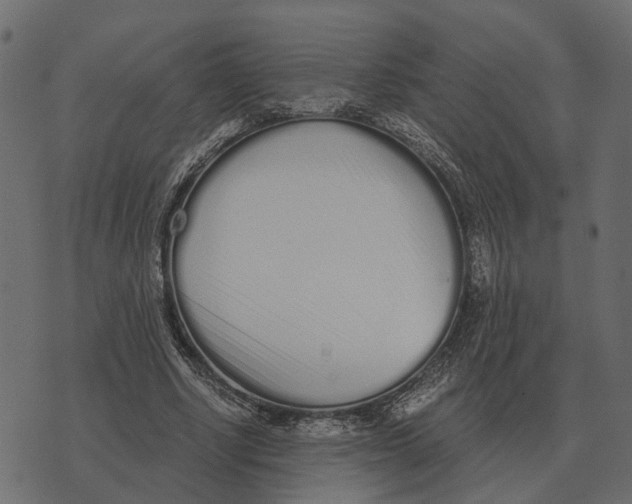 X0000073450634200608251707