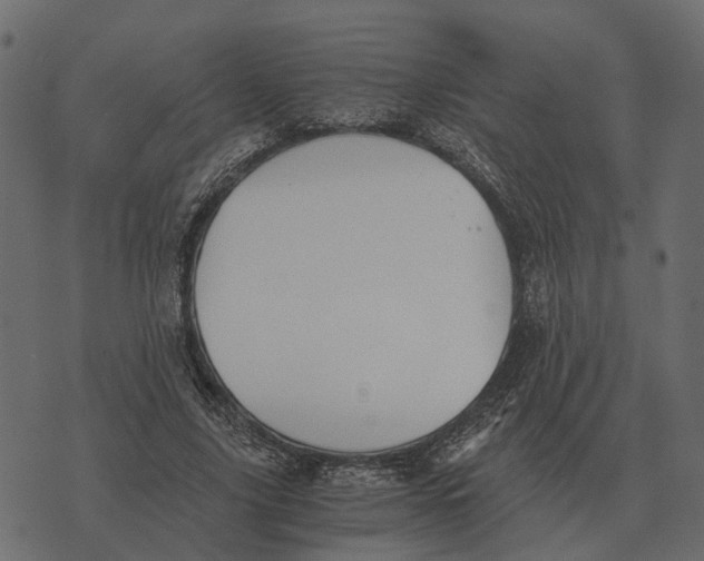 X0000073450635200608251707