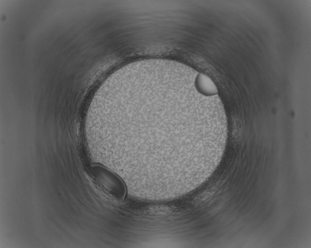 X0000073450636200608251707