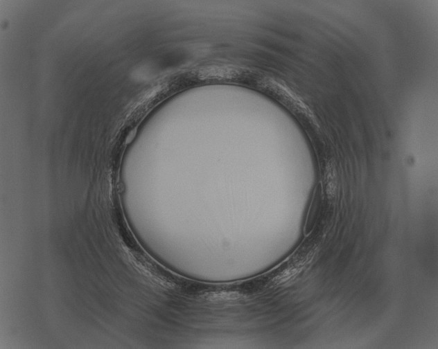 X0000073450637200608251707