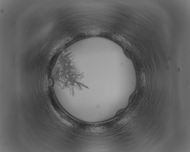 X0000073450638200608251707