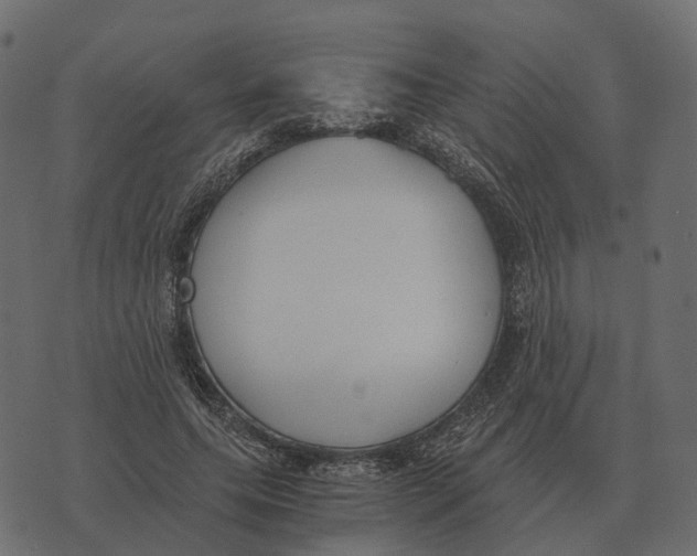 X0000073450639200608251707