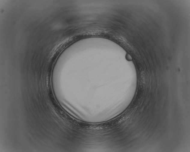 X0000073450640200608251707