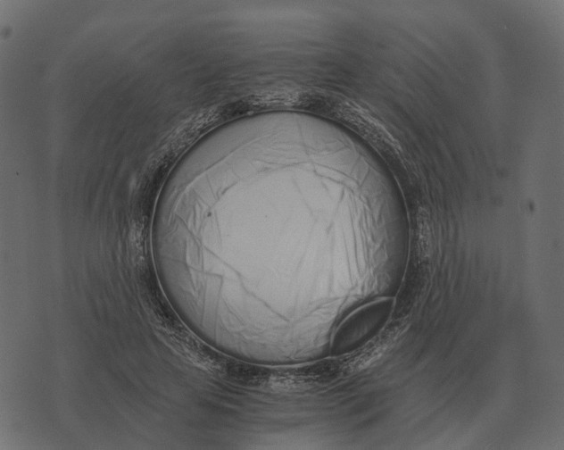X0000073450641200608251707
