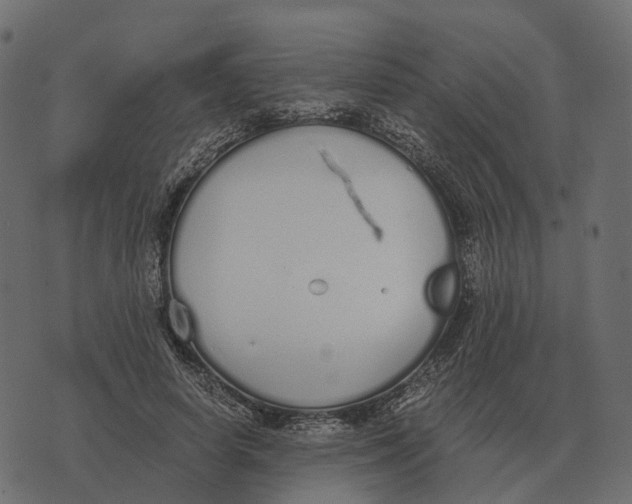 X0000073450642200608251707