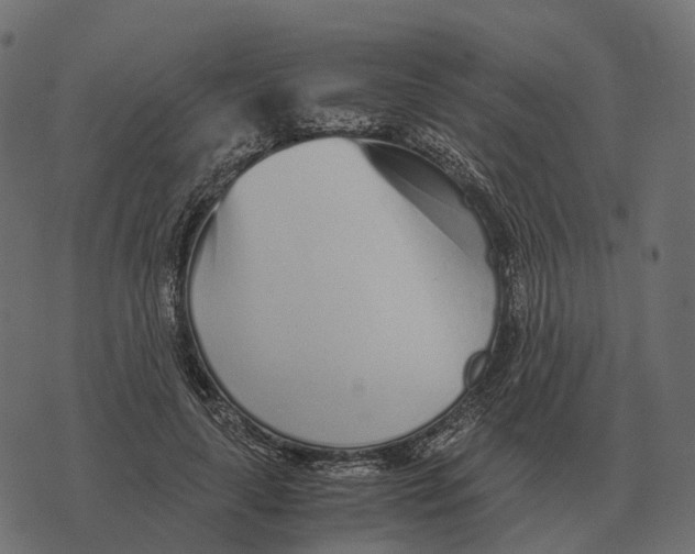 X0000073450643200608251707