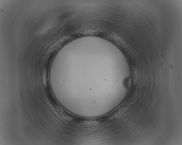 X0000073450644200608251707