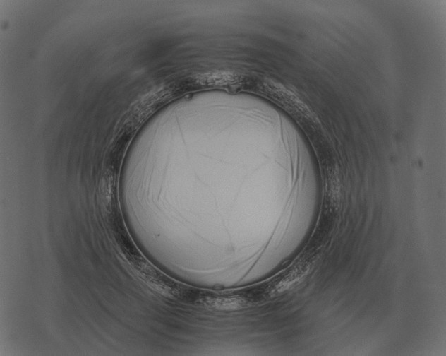 X0000073450645200608251707