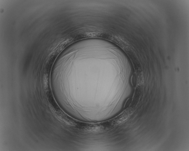 X0000073450646200608251707