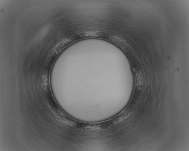 X0000073450648200608251707