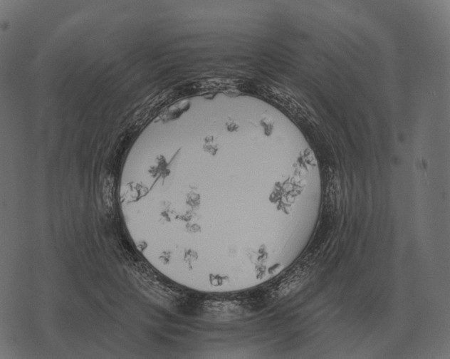 X0000073450649200608251707