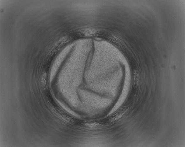 X0000073450650200608251707