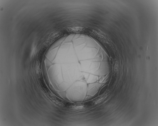 X0000073450651200608251707