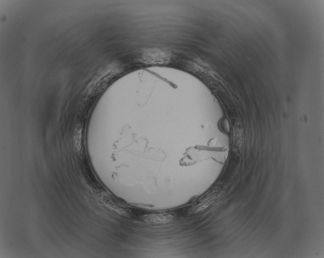 X0000073450652200608251707